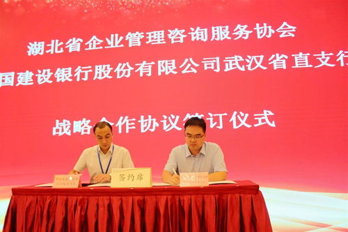 湖北省企業(yè)管理咨詢服務(wù)協(xié)會(huì)換屆,程鵬當(dāng)選為會(huì)長(zhǎng)